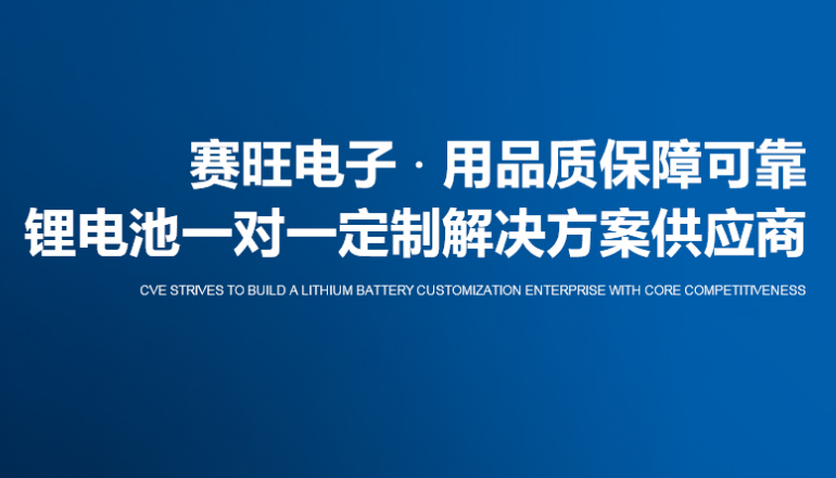 锂桃子网站WWW保护板厂家