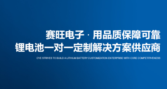 锂桃子网站WWW保护板哪家好